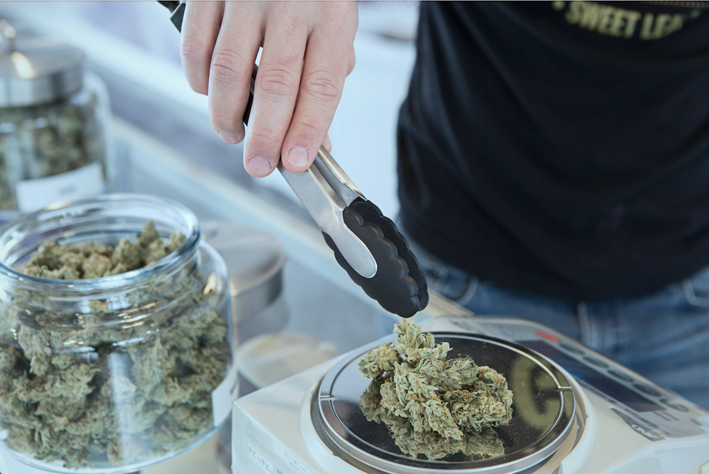 Cannabis being taken from a jar and placed into a container that sits atop a scale.