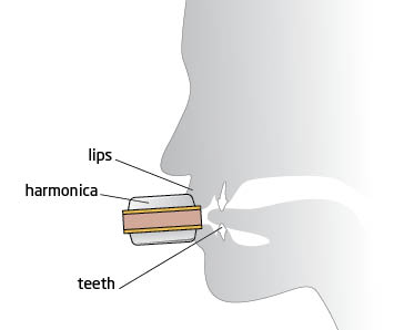 Harmonica breathing position