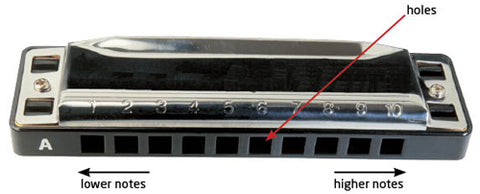 How Does The Harmonica Work?