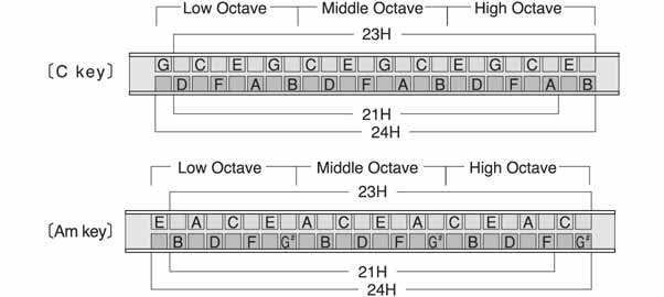 Tremolo Harmonica (Baritone Harmonica) Notation Diagram
