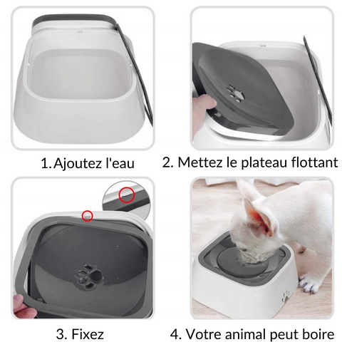 explication fonctionnement bol anti-éclaboussure chien chat