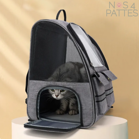sac chien chat