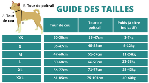 guide des tailles harnais chien