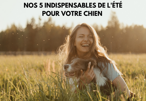 les 5 indispensables de l'été pour votre chien 