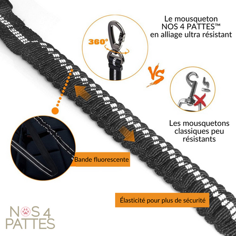 Ceinture De Sécurité De Voiture Pour Chien Et Chat, Avec Clip, Ceinture De  Sécurité Pour Siège Arrière, Harnais Réglable, Laisse Pour Chien - Temu  France