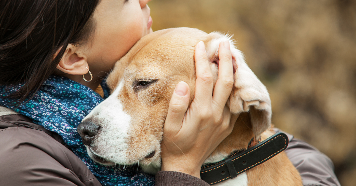 when did dog with a blog dog died