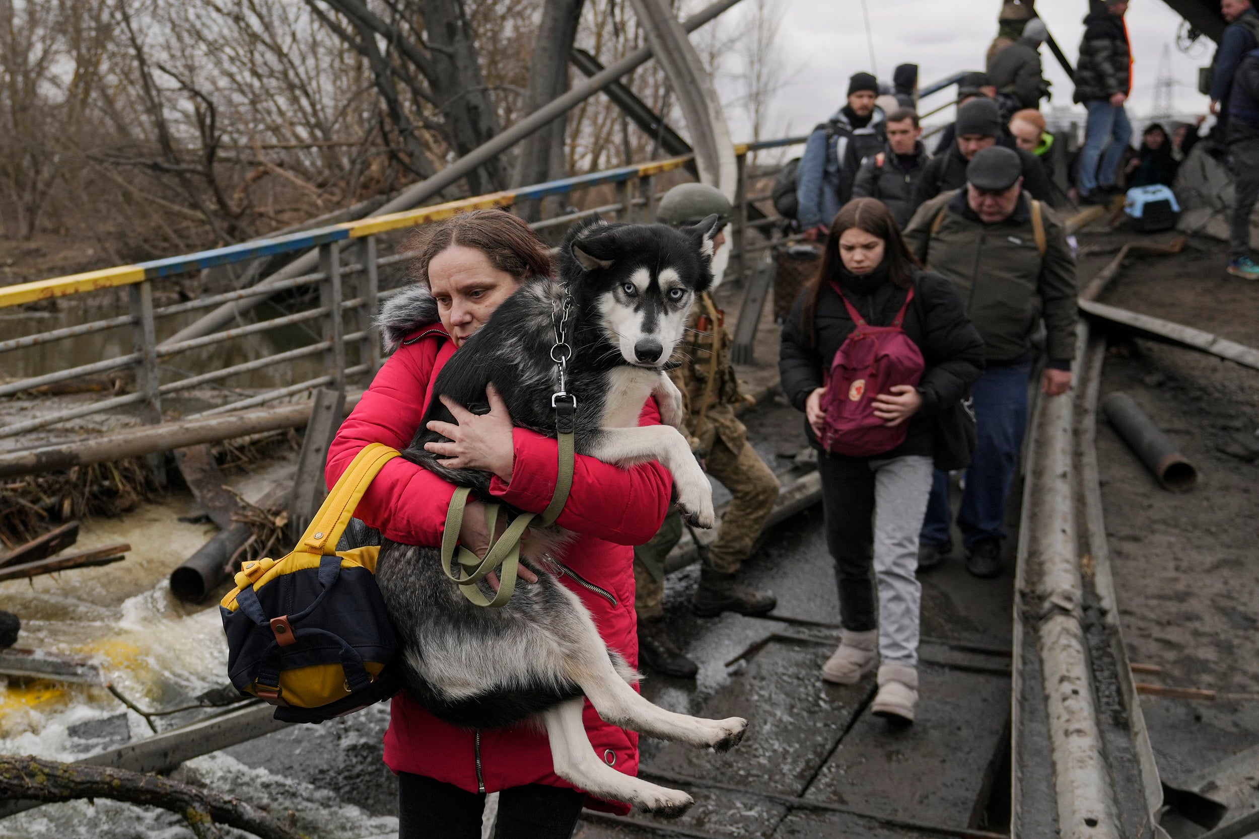Ukranian refugees with a dog