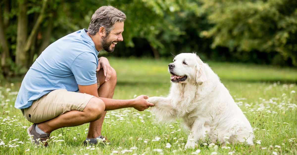 positivity for potty training