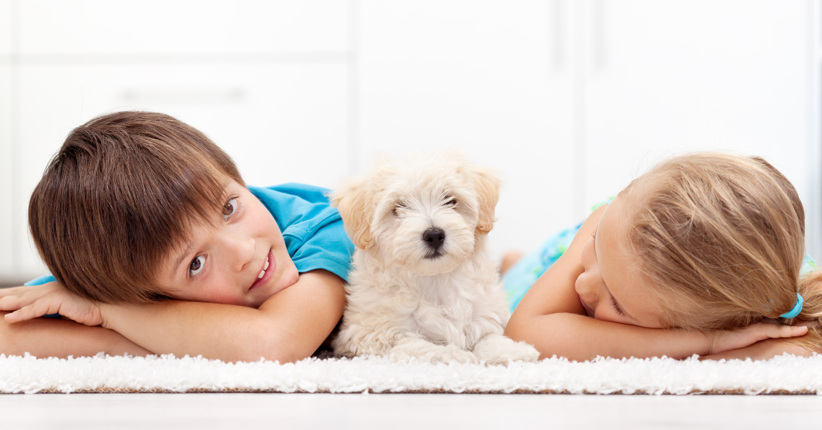 kids lying with the dog