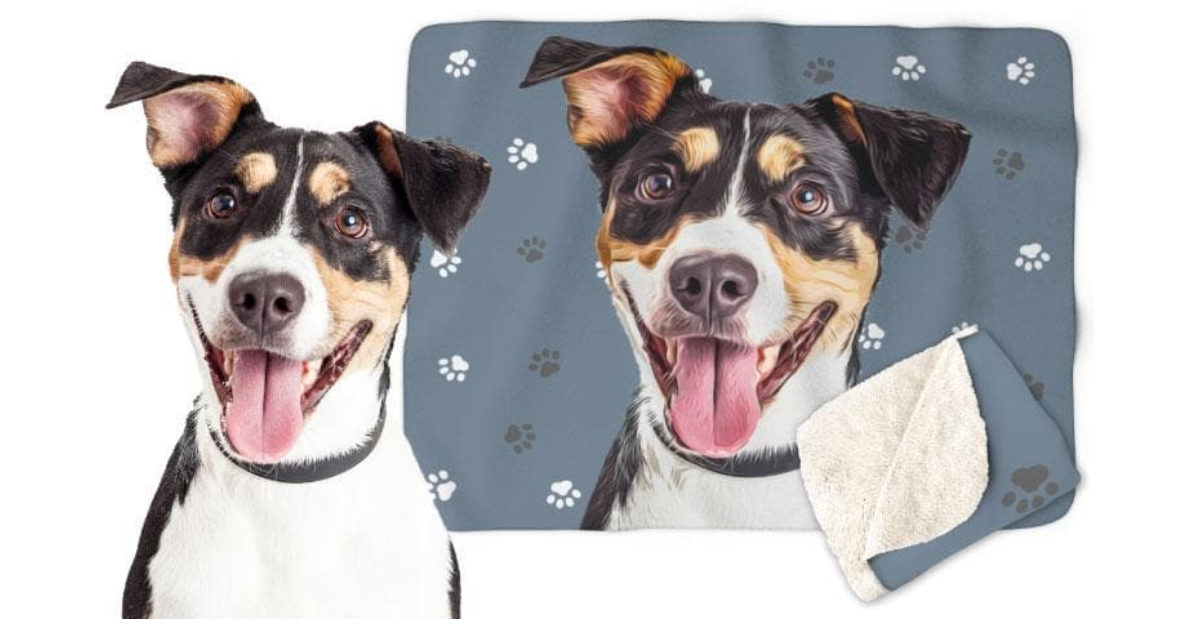 pet blanket as dog mom gift idea