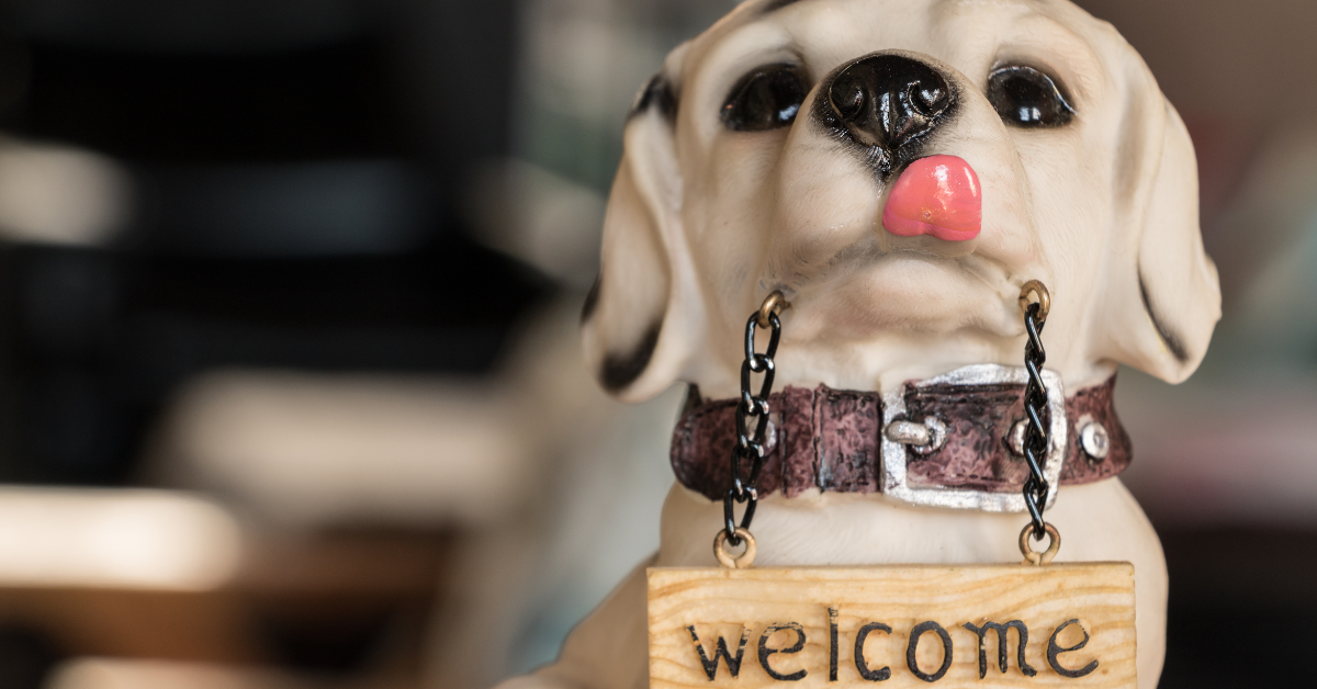 Dog-Themed Home Decor as dog mom gift idea