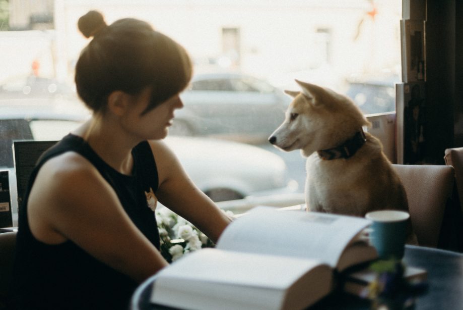 A dog and their owner sitting on chairs around a table