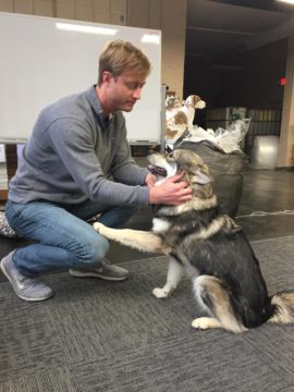 Dog owner crouched down and petting their dog on the face