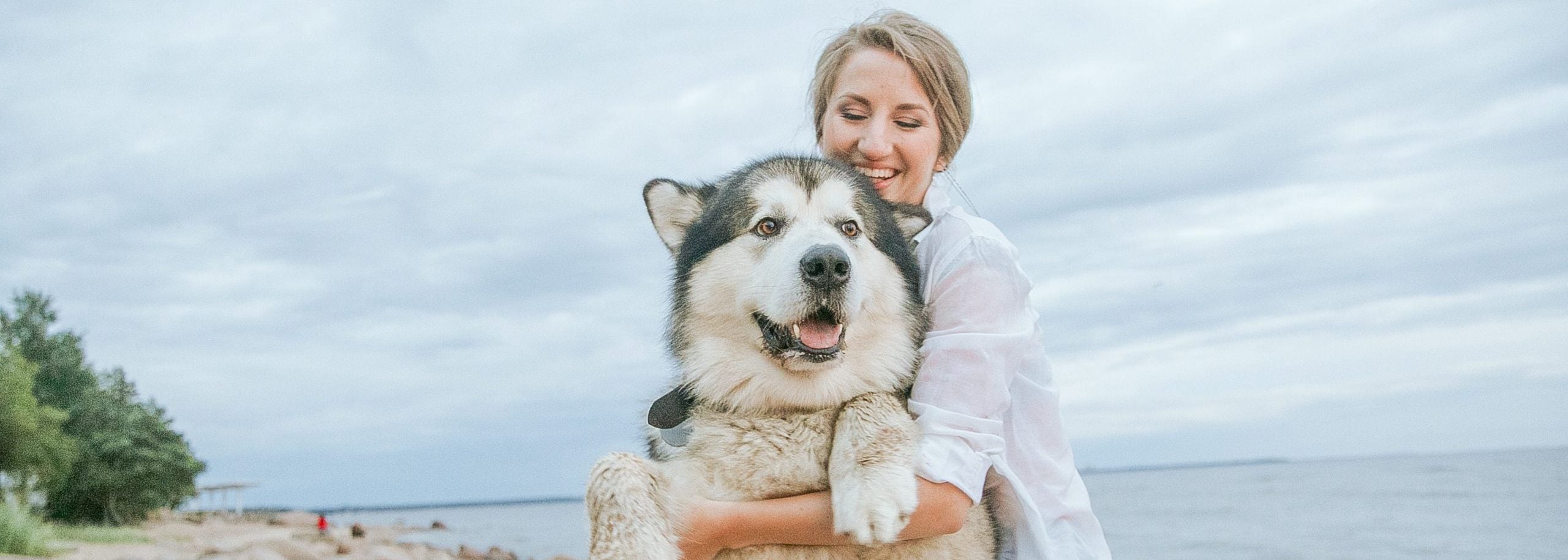 a, femme, étreindre, elle, sourire, husky