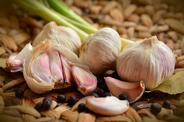 Bulbs of garlic on top of a bed of spices