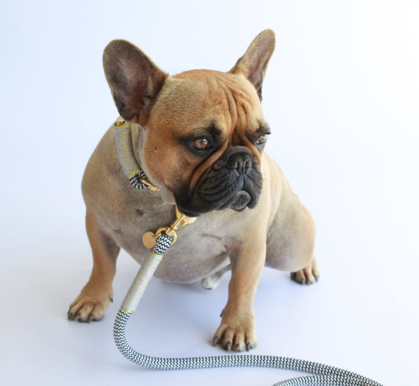 Classic Dog Leash | The Penelope