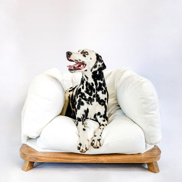 Dog Bed | The Nairobi