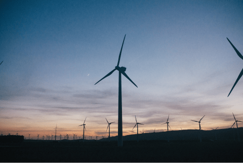 un grupo de turbinas eolicas con un atardecer en el fondo