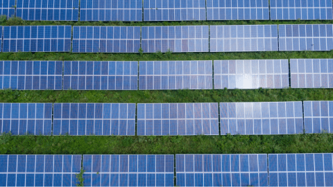 muchos paneles solares agrupados