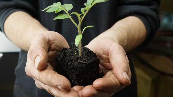 sprout organic seed starting and potting soil mix tilth soil