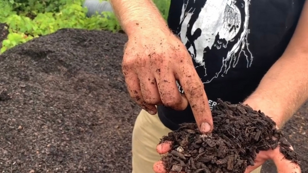 living soil