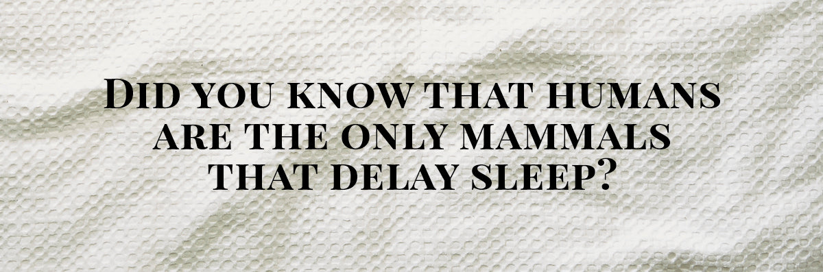 Did you know that human are the only mammals that delay sleep?