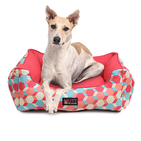Candy bar bed for dogs - Mutt of Course