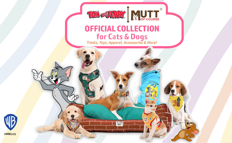 Tom and Jerry X Mutt of Course Woofy Poses Dog and Cat Collar Extra Image