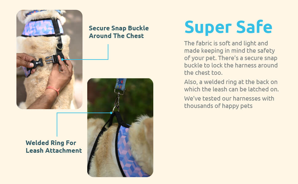 Donut Vest Harness + Leash Set Extra Image