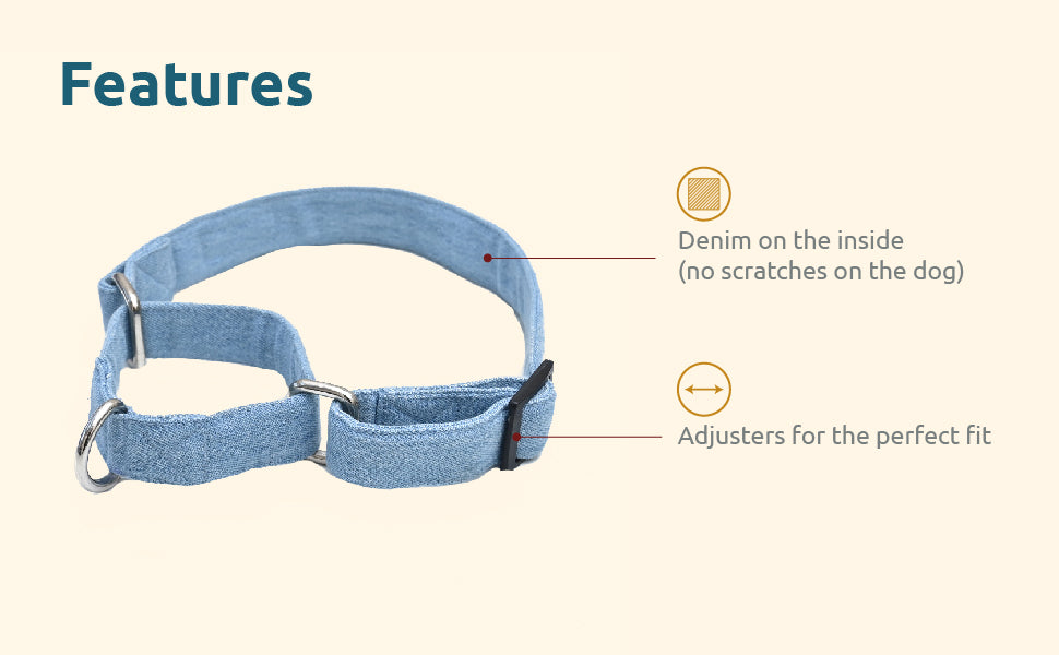 Light Blue Denim Martingale Denim Collar Extra Image