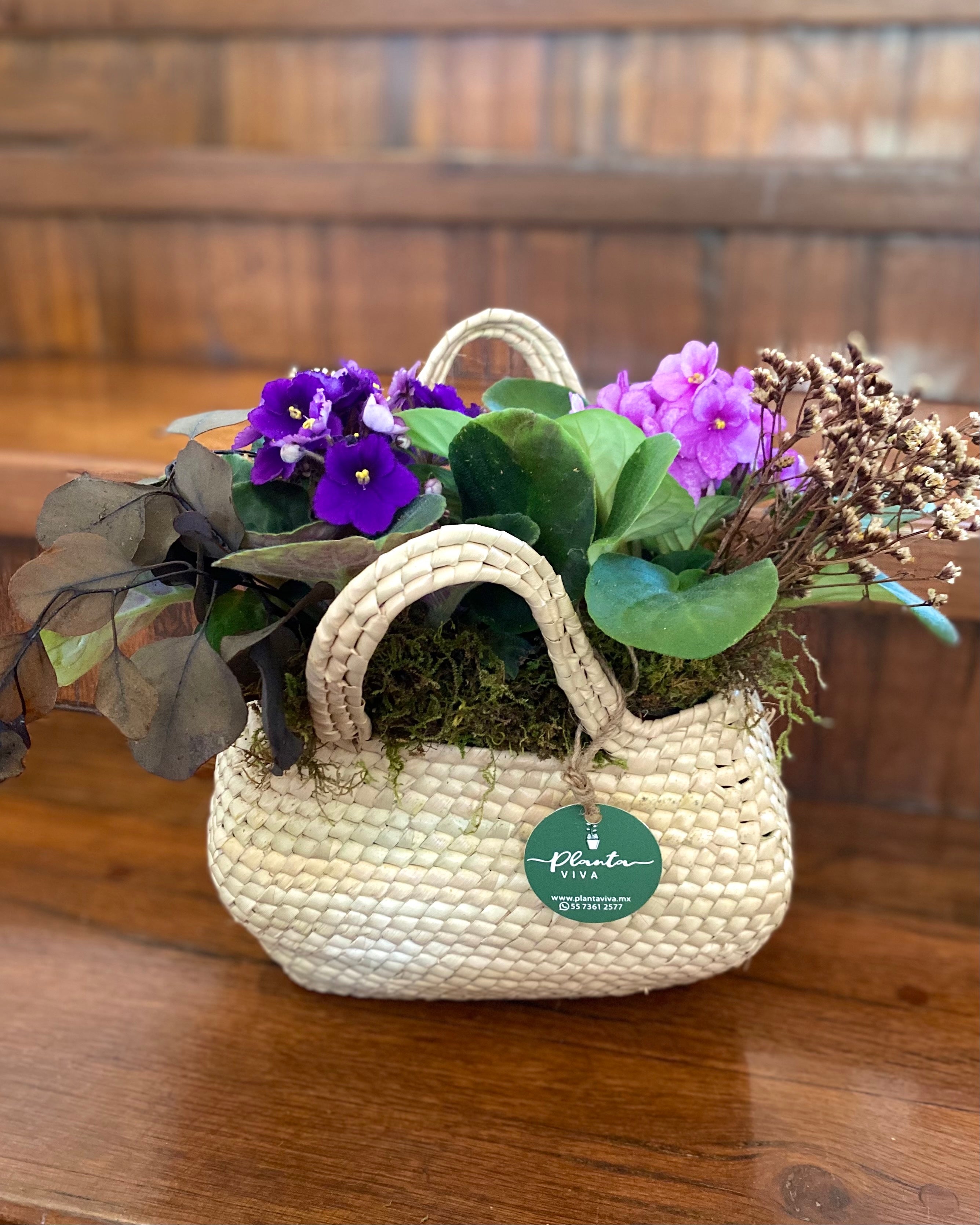 Cesta con Violetas Africanas – Planta Viva