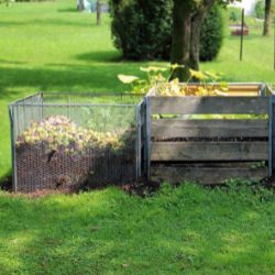 compost bins and garden