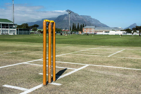 Cricket stumps featuring Table Mountain in the background