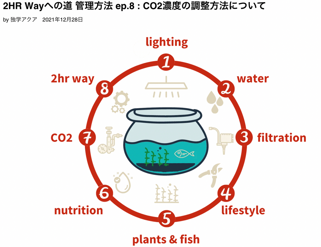 CO2 濃度 調整 水槽