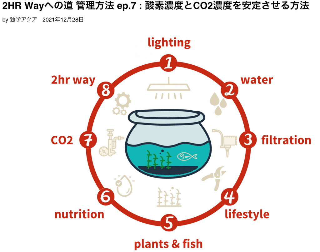 酸素 濃度 CO2 水槽 水草