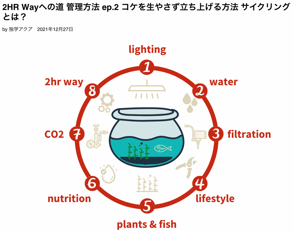 水槽 立ち上げ 方法 サイクリング