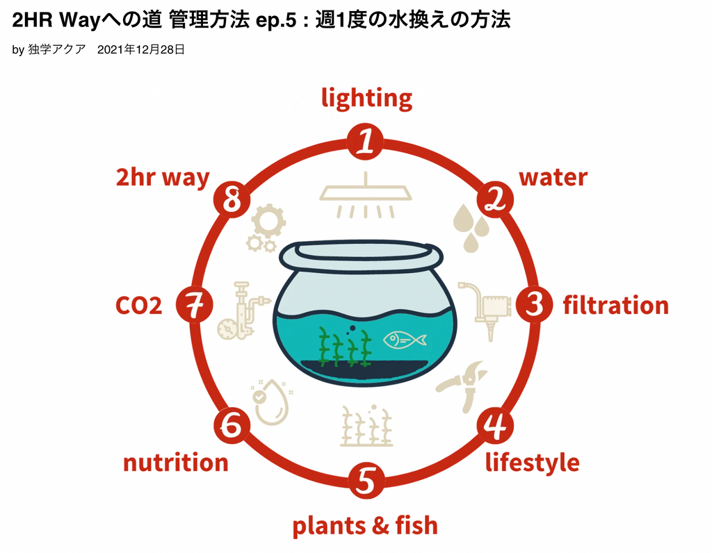 熱帯魚やエビの水合わせ方法 Ep 11 The 2hr Aquarist Japan