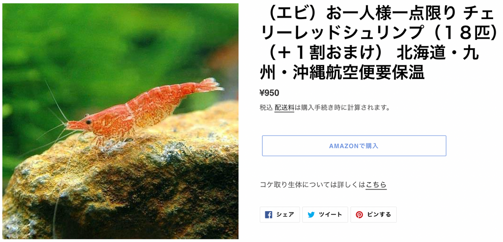 水槽におすすめのコケ取り生体 The 2hr Aquarist Japan