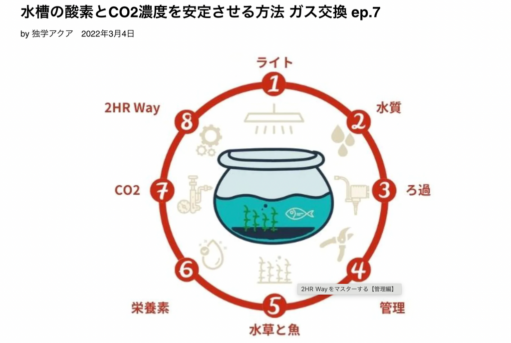 水槽 酸素 CO2 濃度 安定 方法 ガス交換