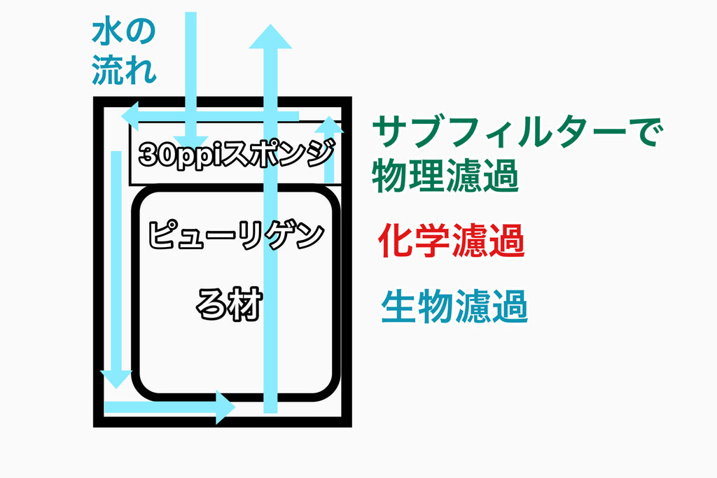 レイアウト 外部フィルター 掃除 おすすめ 水槽 水換え