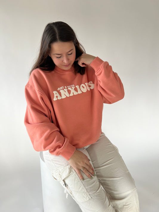Anxious Embroidered Brick Oversized Sweatshirt – Pink Lily