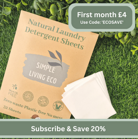 laundry sheet subscription