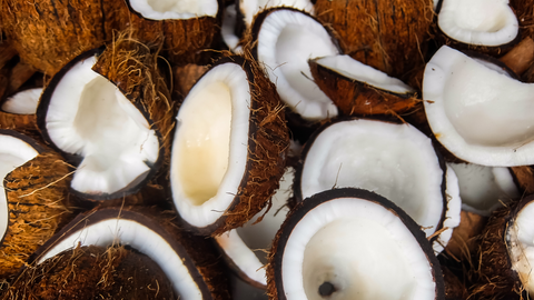 coconut oil information
