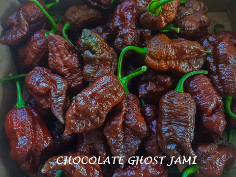 Chocolate Ghost Jami