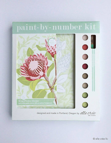 Taylor Swift Paint By Numbers Kit – Reverie Goods & Gifts