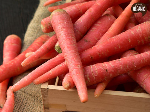 Organic Carrot