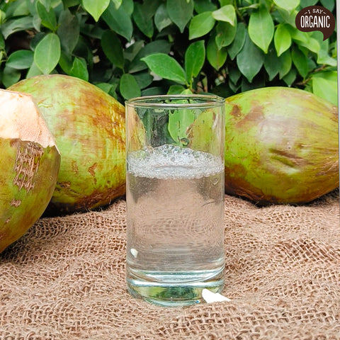 Coconut Water