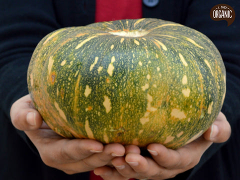 Organic pumpkin