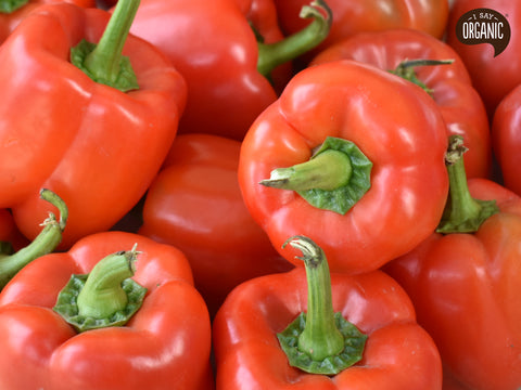 Organic red bell pepper