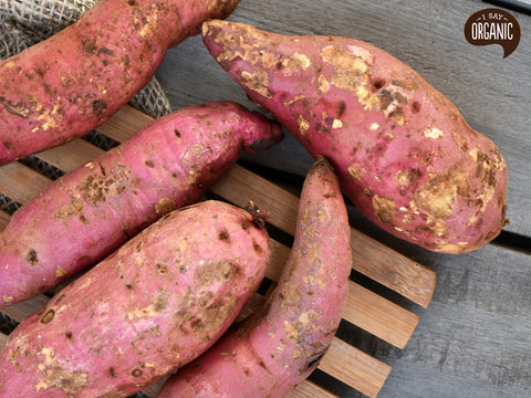 Organic sweet potato